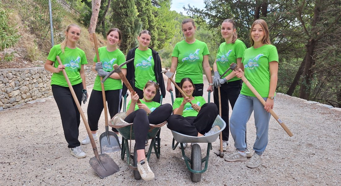 1000117510